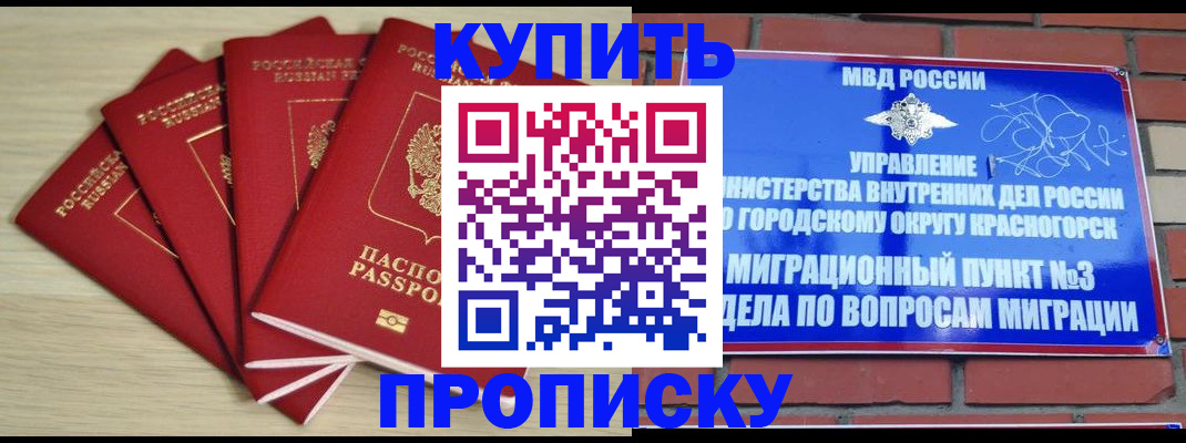 временная регистрация для всех в Баймаке